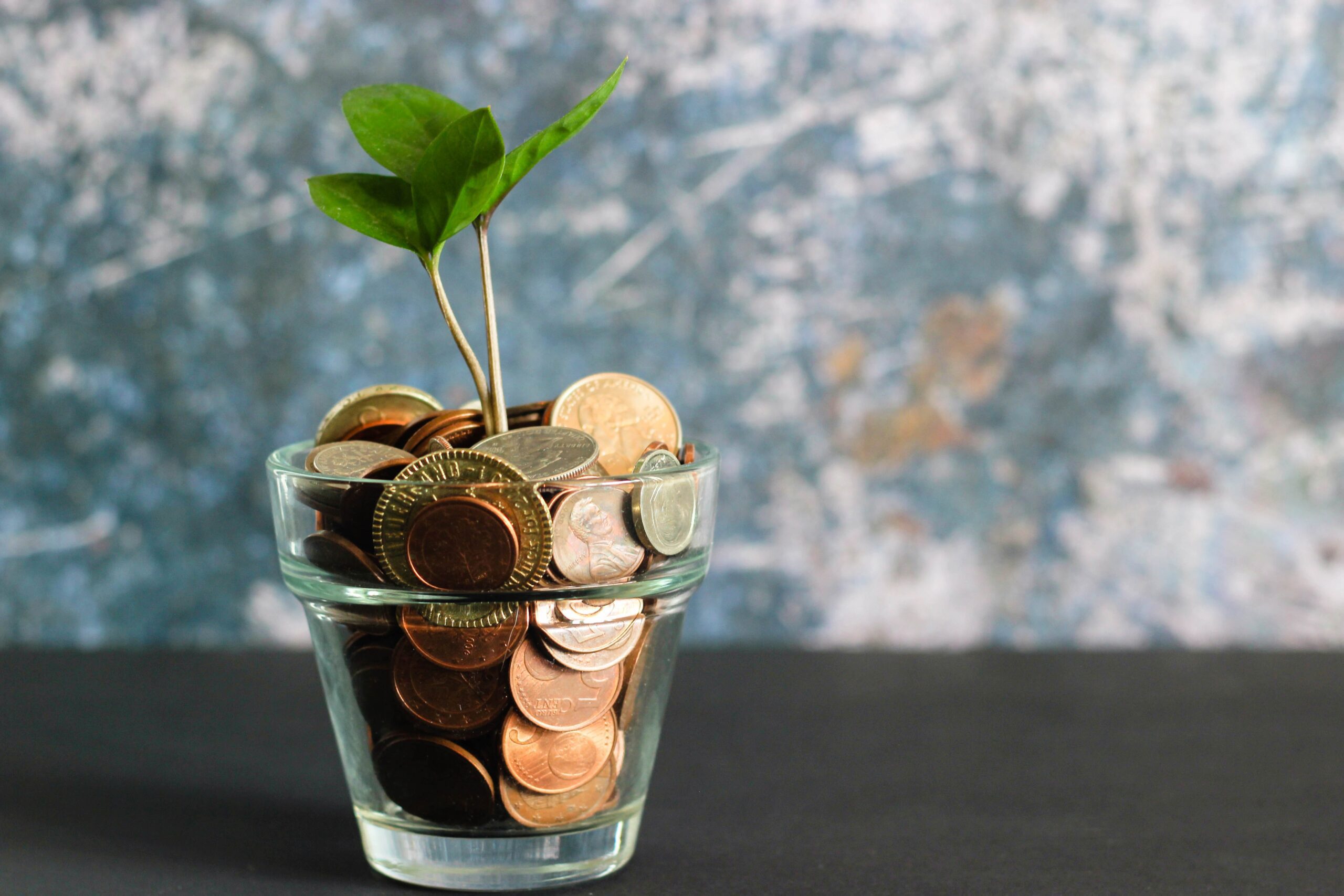 contabilidad de tu empresa al día y sin errores